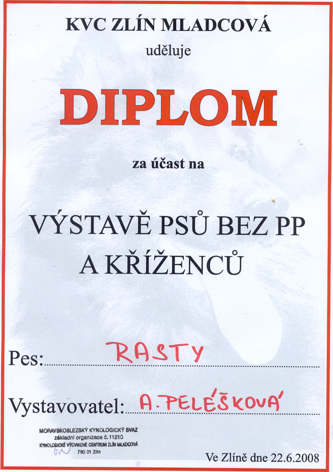 DIPLOM RAJEČEK.jpg