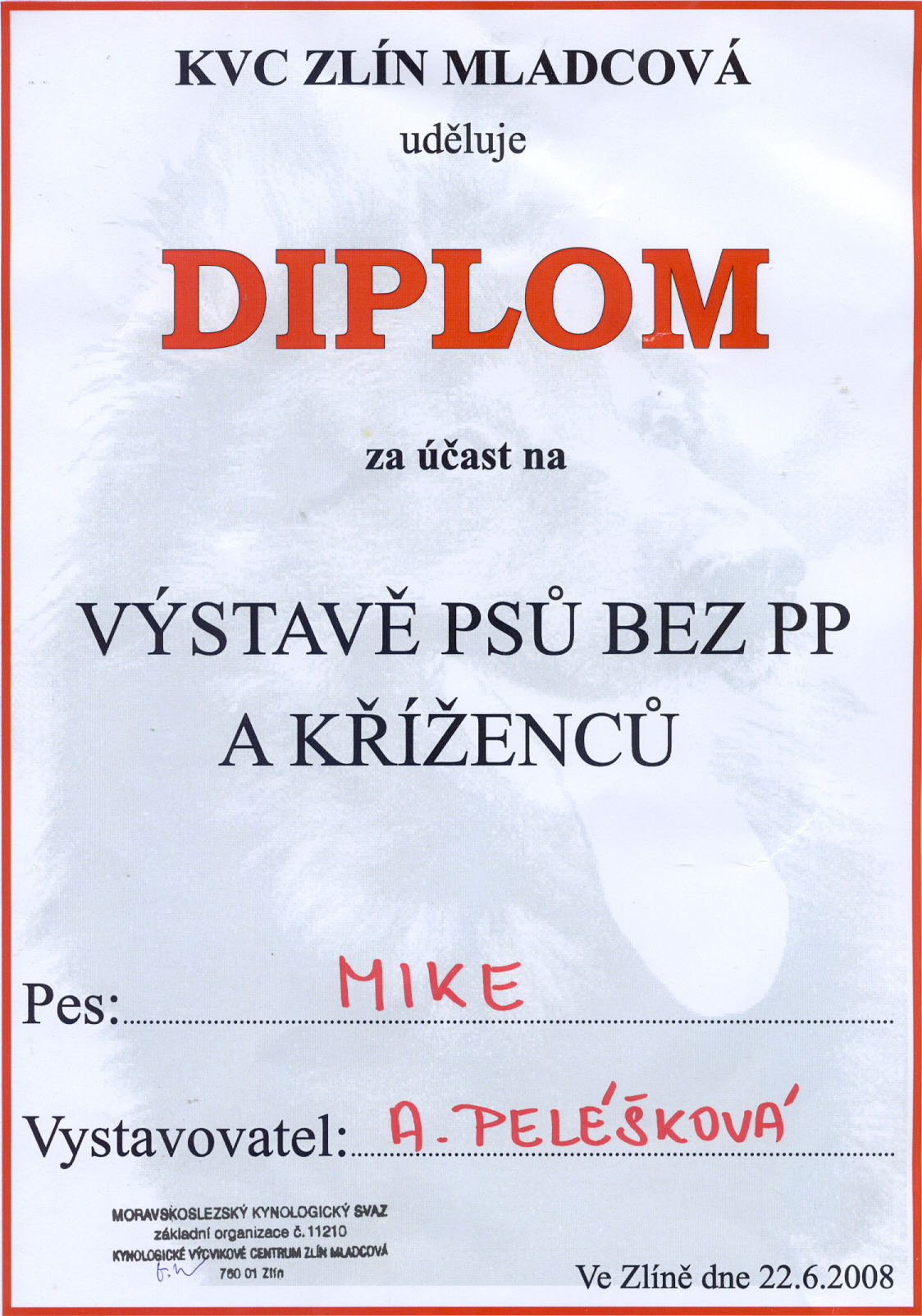 diplom mike.jpg