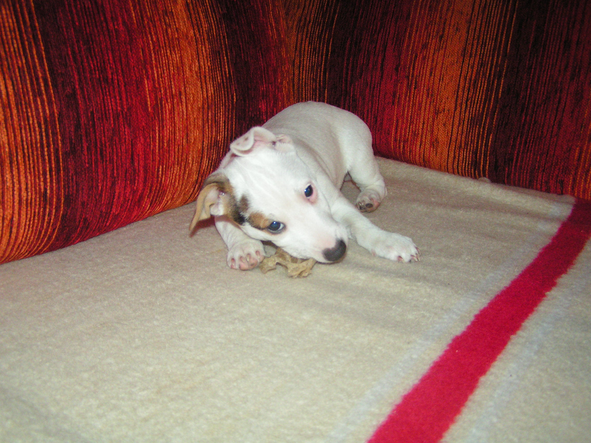 PICT0326.JPG