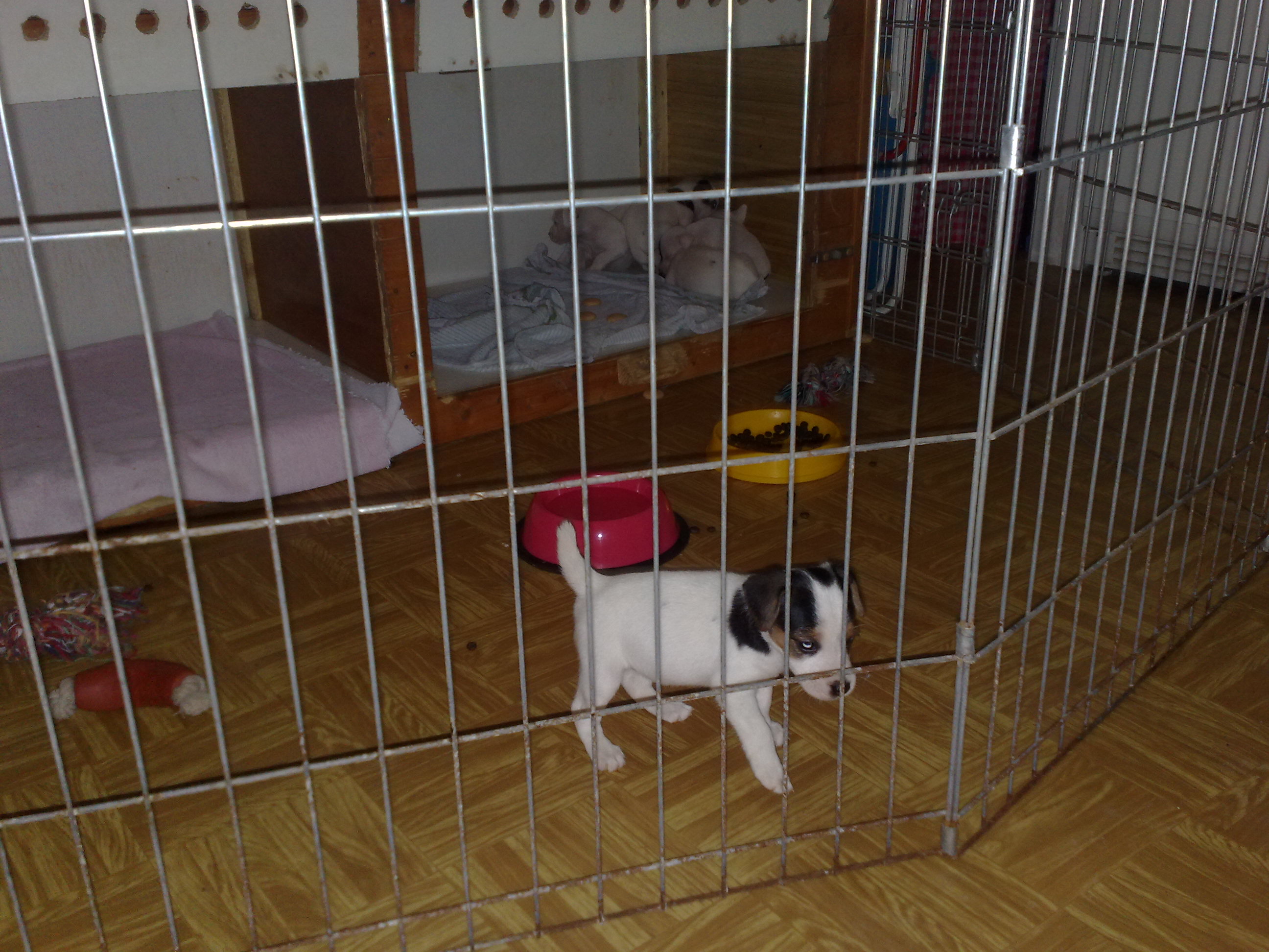 030320101084.jpg